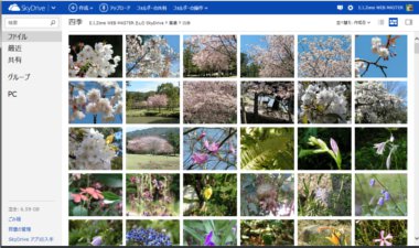 SkyDrive21