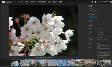 SkyDrive22