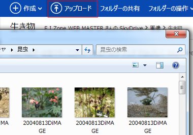 SkyDrive24