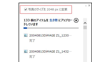 SkyDrive25
