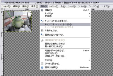 gimp1