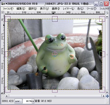 gimp4